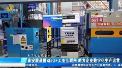 “智”赋能源 让“比特”取“瓦特”共振